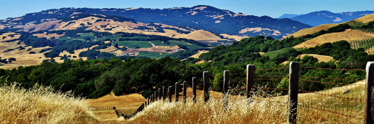tolay-lake-regional-park-